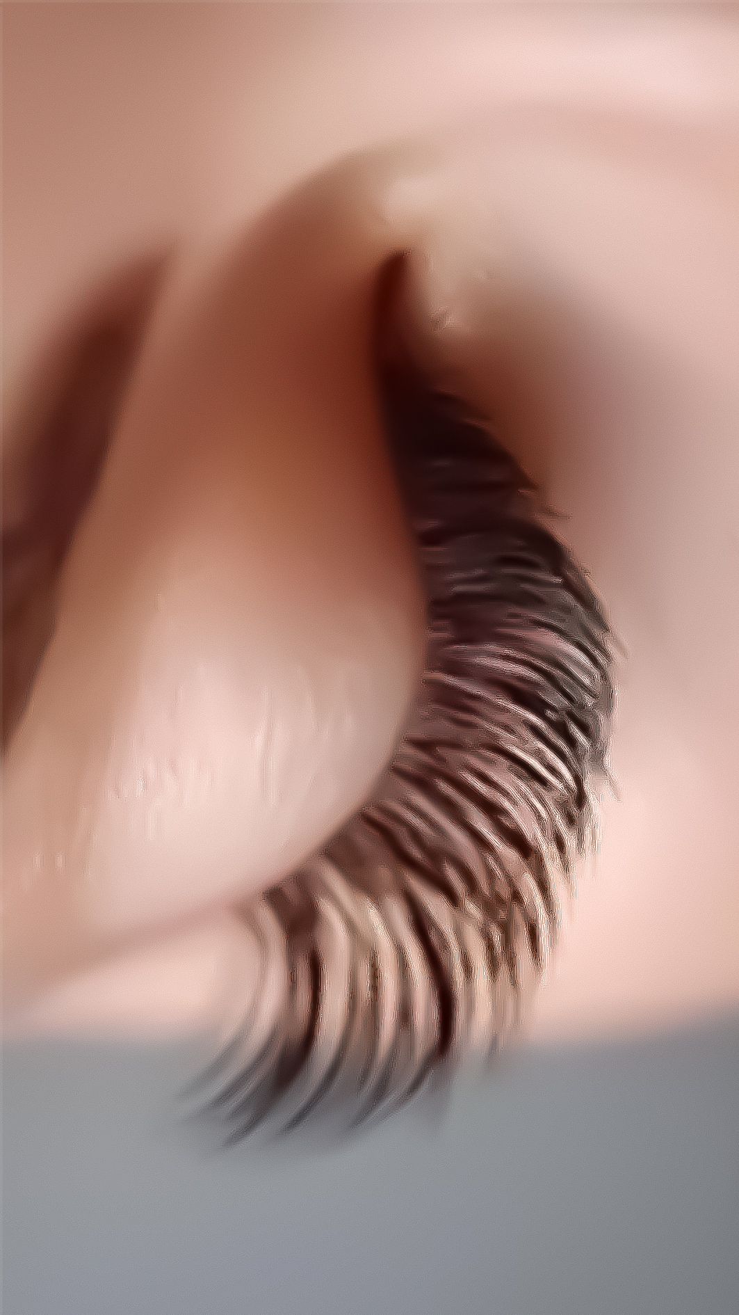 zzz